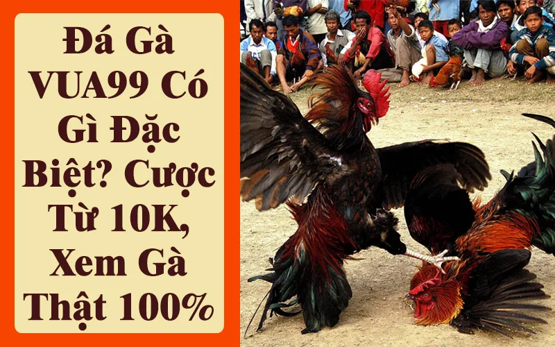 da-ga-vua99